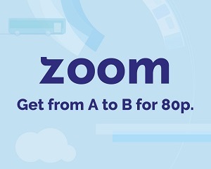 Zoom resources for schools 