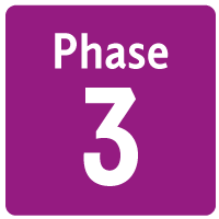Phase 3